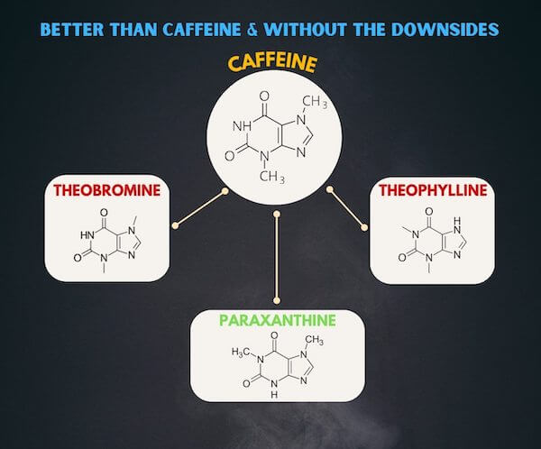 caffeine-metabolism Caffeine Metabolism