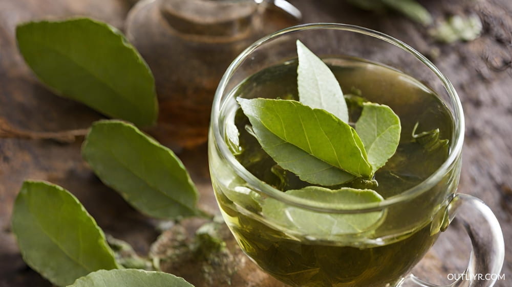 coca-leaf Coca leaf has a brain stimulating effect