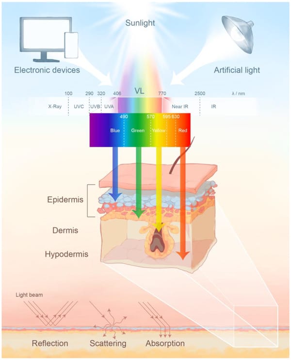 The role of color & light for biology and skin disorders