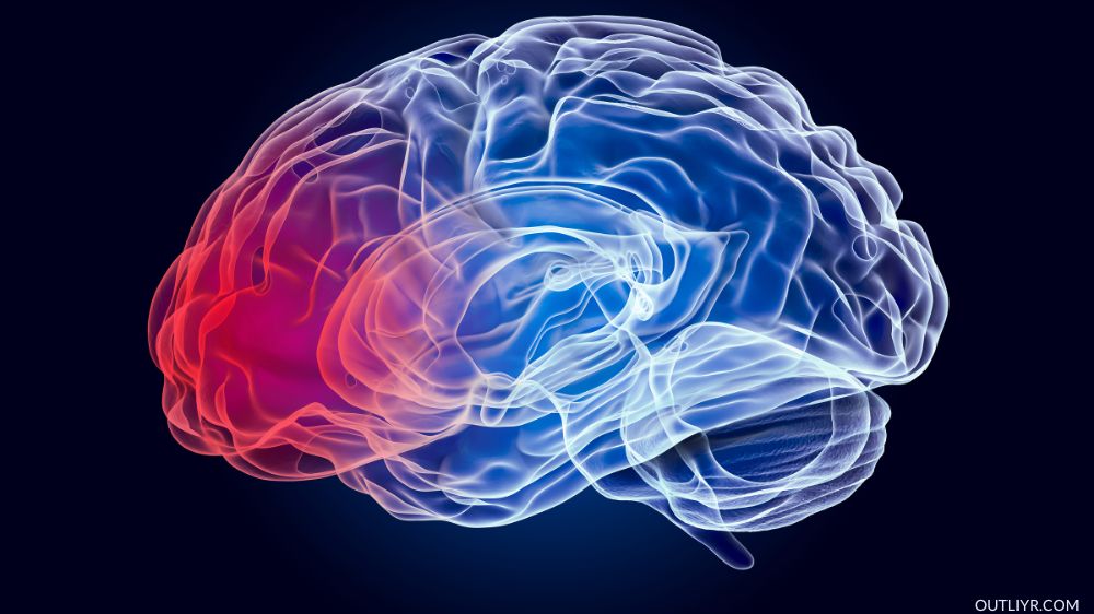 Concussion Treatment Affected Part