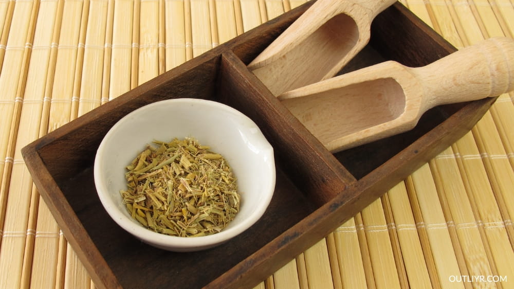 ephedra-sinica Ephedrine good for energy, focus and mental stamina but banned by FDA