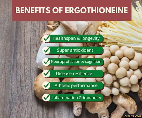 ergothioneine-supplement-benefits Benefits of Ergothioneine