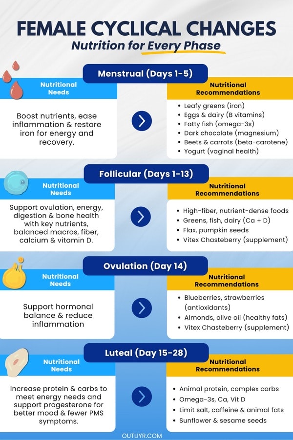 female-cyclical-changes An infographic on nutrition recommendations during different female cyclical changes