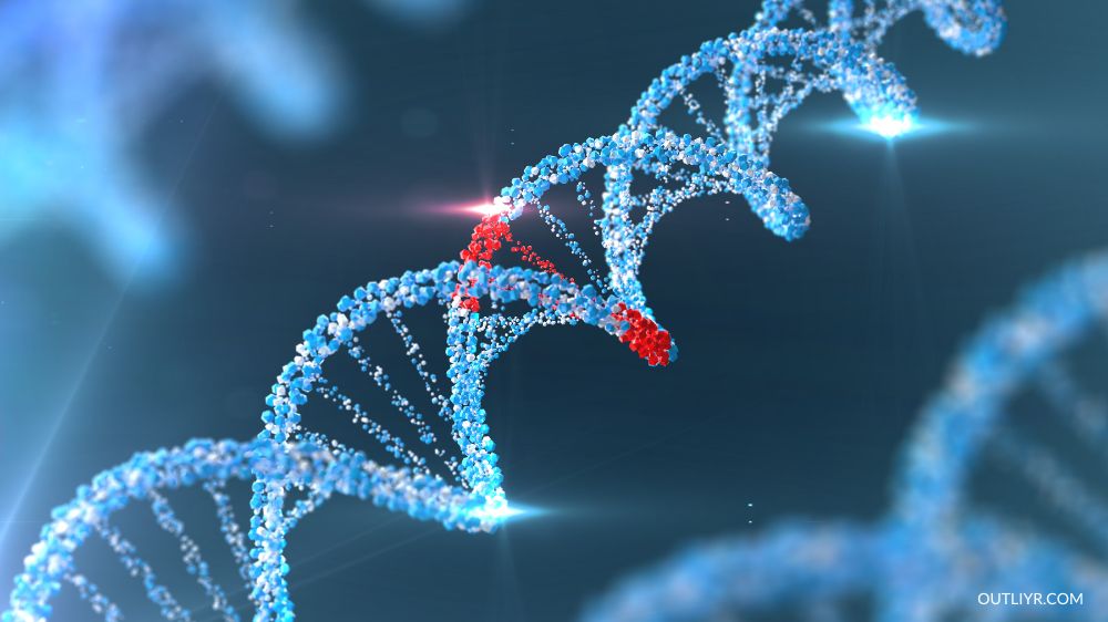 Hallmarks Of Aging DNA