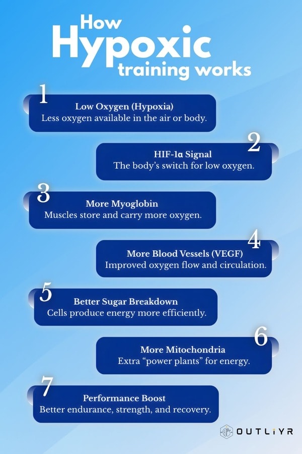 how-hypoxic-training-works Different steps to hypoxic training