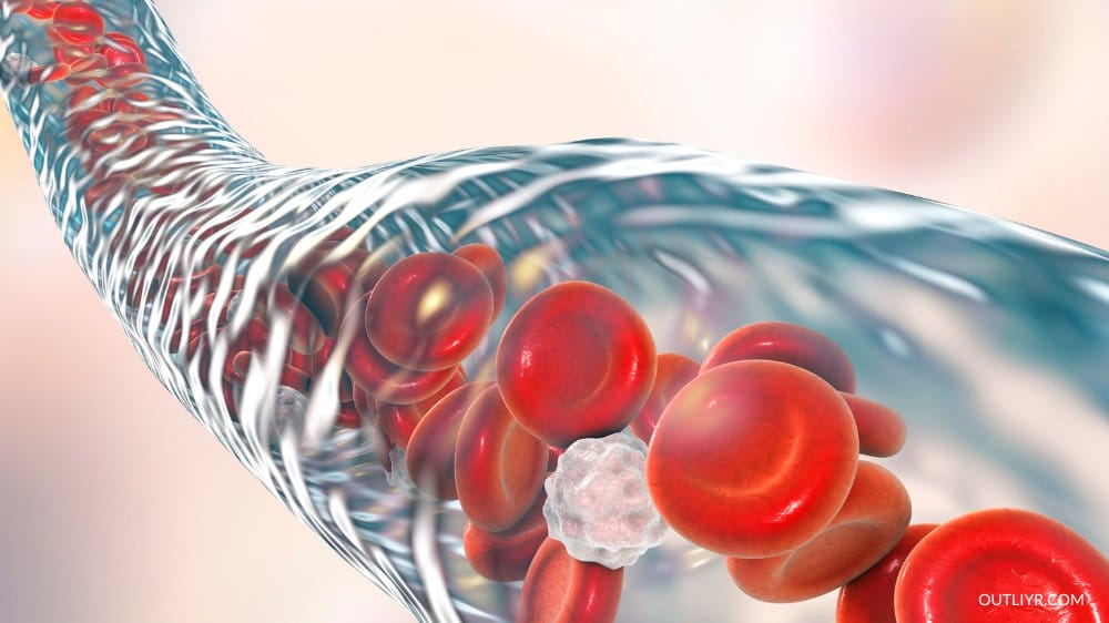 Increased Blood Flowing