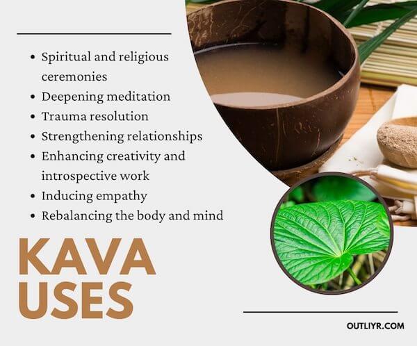 kava-health-benefits Benefits of Kava