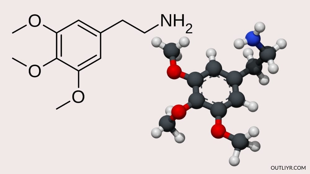 Mescaline molecular structure that is from cacti species 