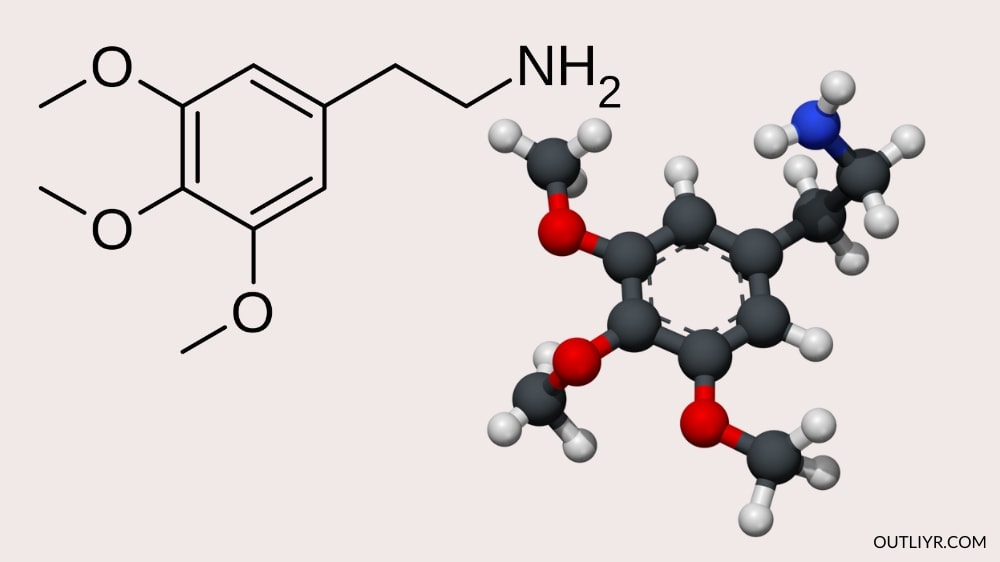 mescaline Mescaline molecular structure that is from cacti species
