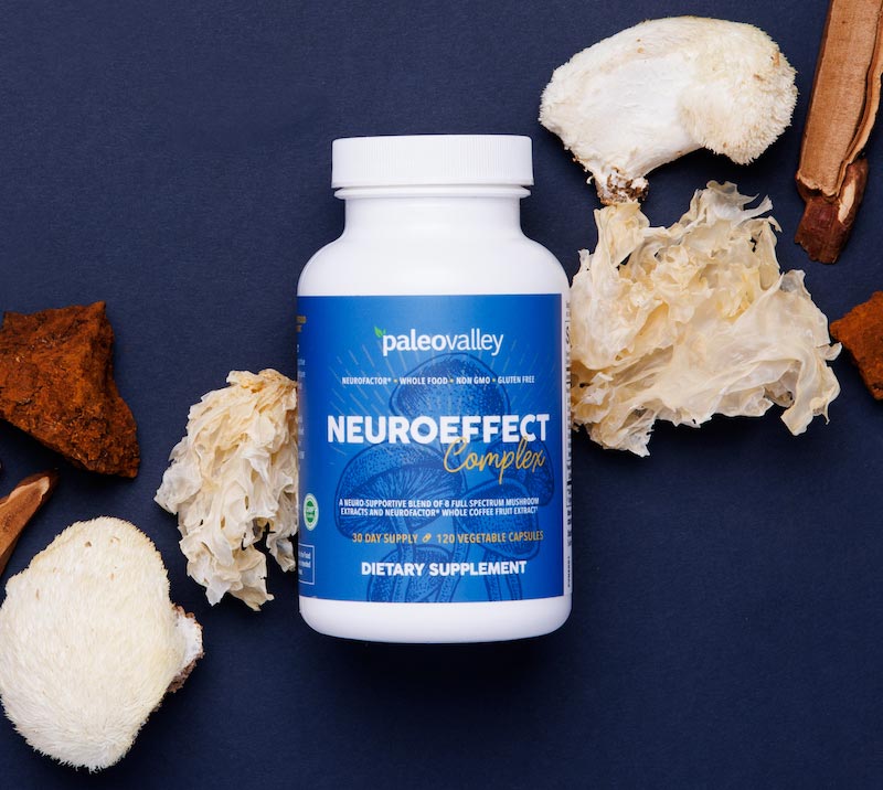 Paleovalley NeuroEffect mushroom nootropic supplement