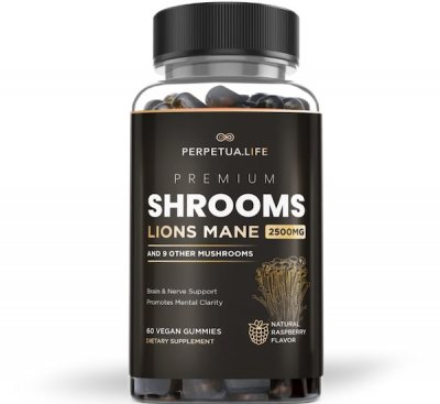 perpetualife-mushroom-supplement-review perpetualife-mushroom-supplement-review