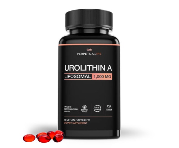 perpetualife-urolithina-bottle perpetualife-urolithina-bottle