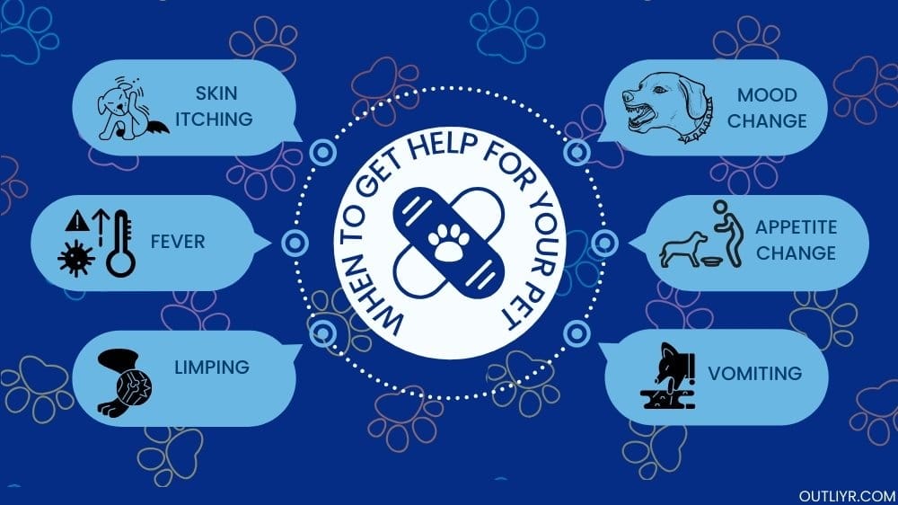 Recognizing the symptoms or signs when to seek professional help for our pet's well-being