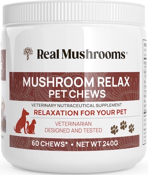 realmushrooms-pet-chew-supplement-sm