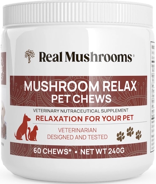 realmushrooms-pet-chew-supplement-sm realmushrooms-pet-chew-supplement-sm