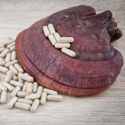 Reishi (Ganoderma lucidum) mushroom