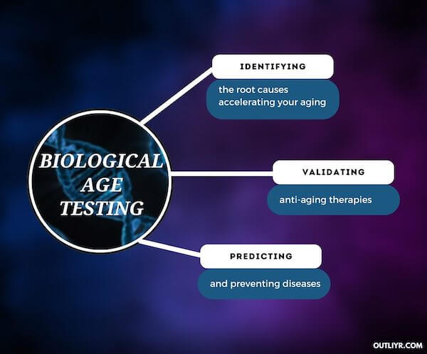 13 Top Biological Age Tests - Reversing Biological Age Starts With Quantification 13 Top Biological Age Tests - Reversing Biological Age Starts With Quantification