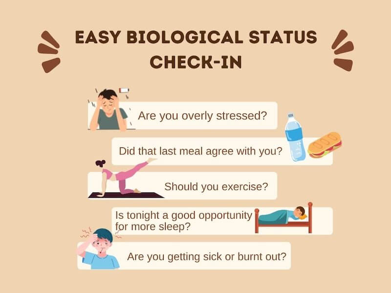 11 Best Heart Rate Variability - Choosing The Best Heart Rate Variability Device 11 Best Heart Rate Variability - Choosing The Best Heart Rate Variability Device