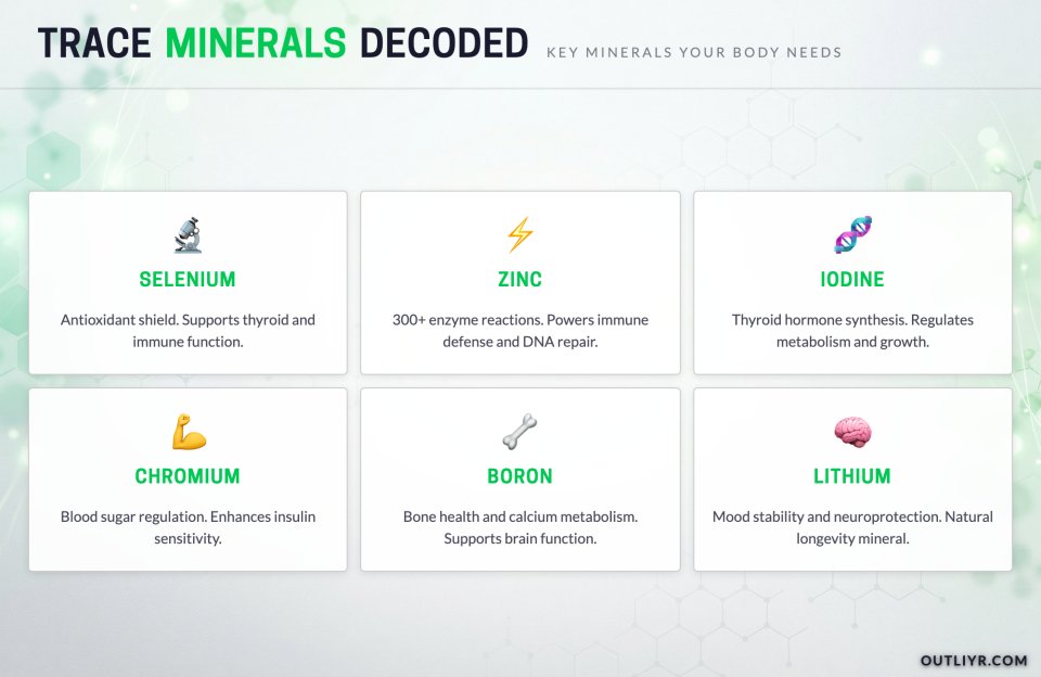 trace minerals decoded infographic