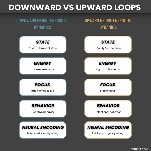 upwardvsdownward-loops-neuroenergetic Differences between downward and upward loops