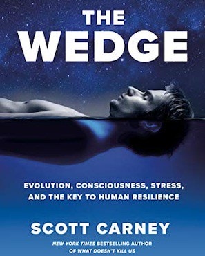The Wedge by Scott Carney book cover