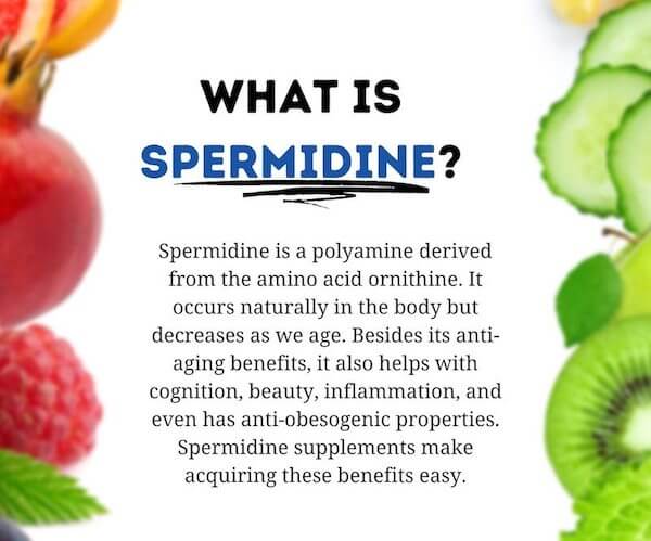 What Really Is Spermidine product image